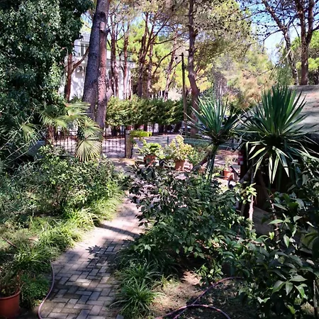 Villa Miro *