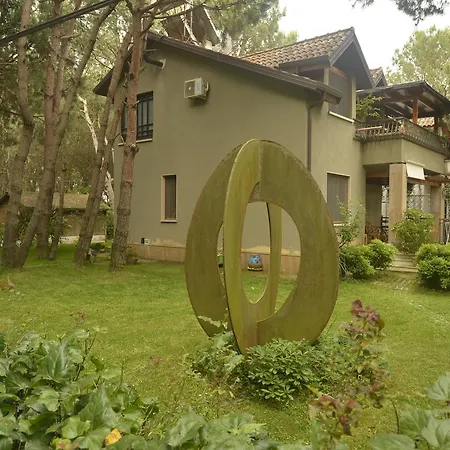 Miro